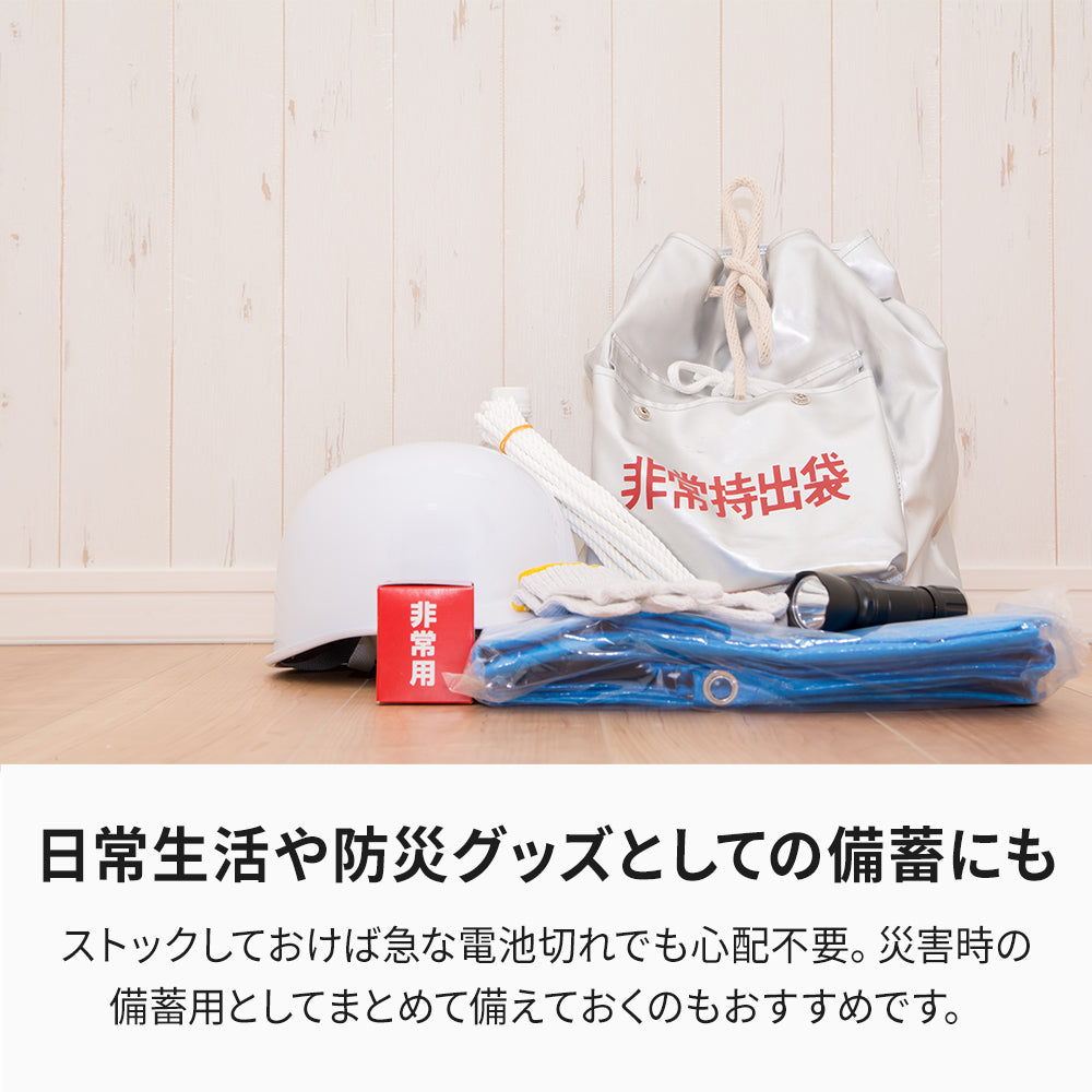 アルカリ乾電池 enevolt basic (エネボルト ベーシック) 単3形 4本 & 単4形 4本 セット