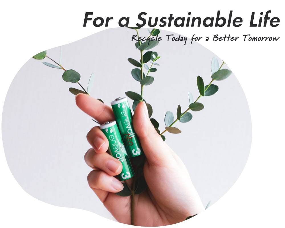 環境に配慮しサスティナブルな暮らしを実現できるリチウムイオン充電池と植物を一緒に手に持っている