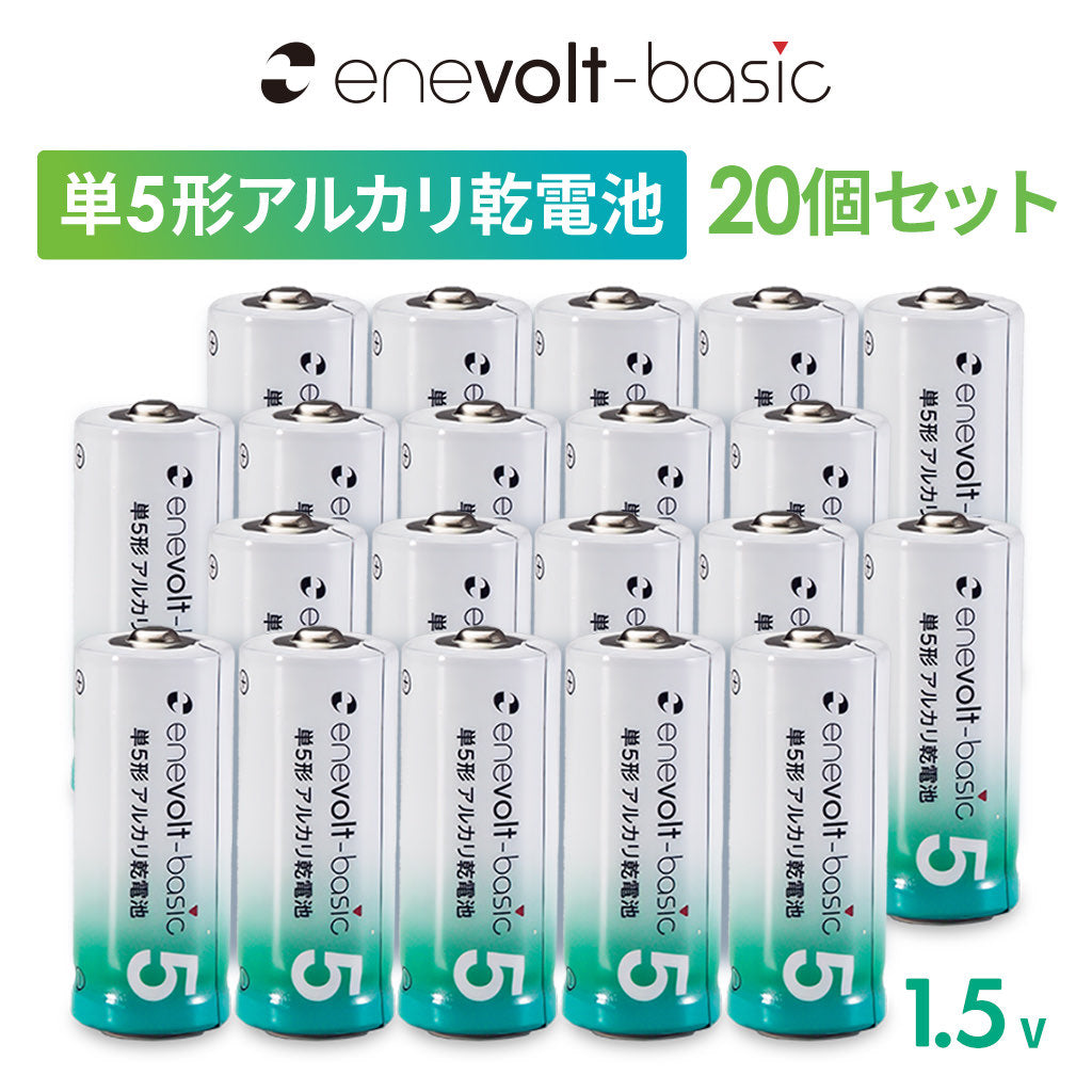 単5形 アルカリ乾電池 20本セット